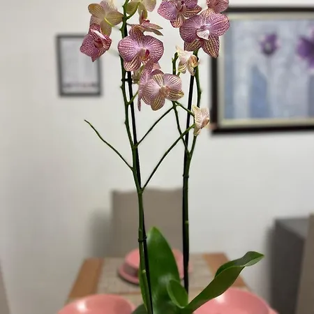 Arteg Apartments - Premium Durrës Extérieur photo