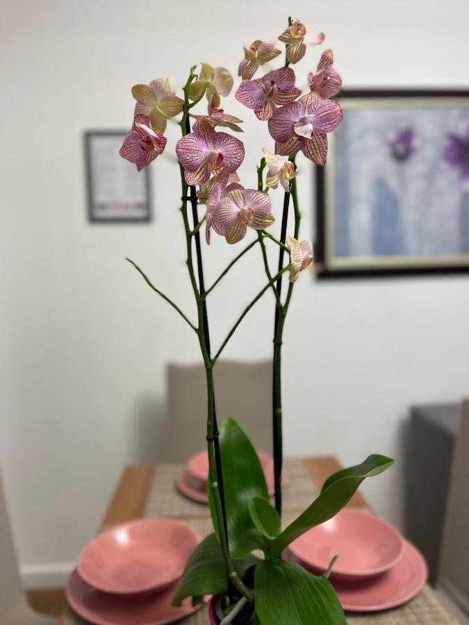Apartmán Arteg - Premium *